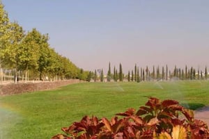 ALCORCÓN Smart Watering