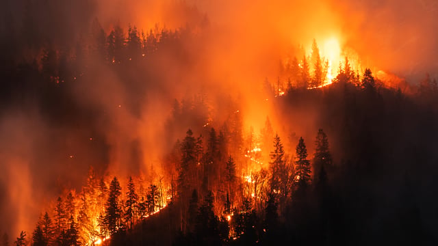 Spain Rolls Out AI Wildfire Detection Through Allianz Seguros Partnership
