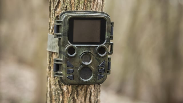 Aomori Prefecture Installs 12 AI Bear-Detection Cameras In Hakkoda Mountains After Fatal Attack