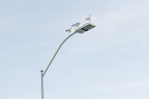 Smart Streetlight