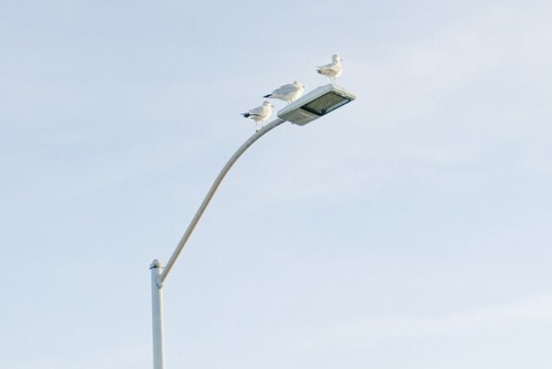 Smart Streetlight