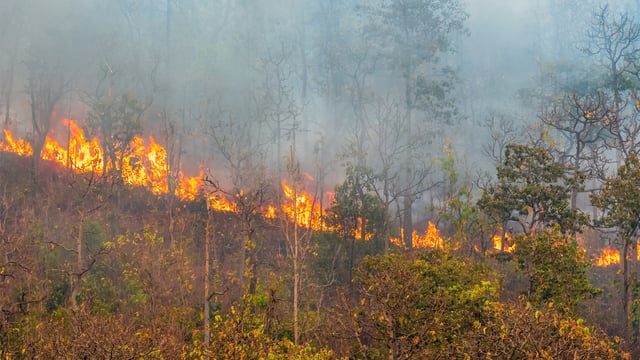 Croatia’s Environment Ministry Expands AI Fire Detection With 50 Cameras at 25 Sites