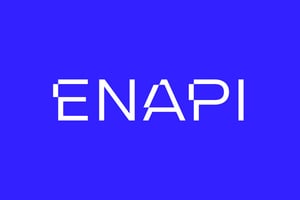 ENAPI Logo