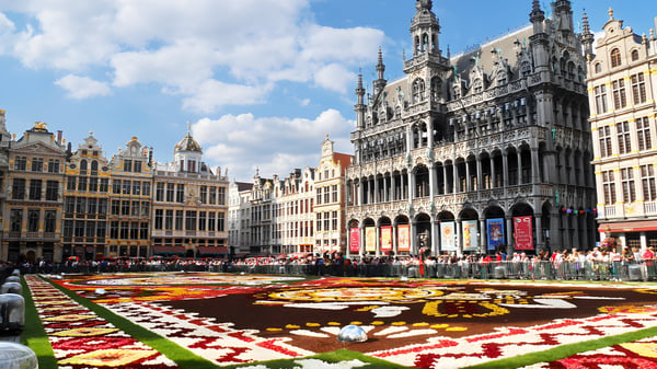 The Flower Carpet display in the Grand Place of Brussels, surrounded by historic guildhalls and the Museum of the City.