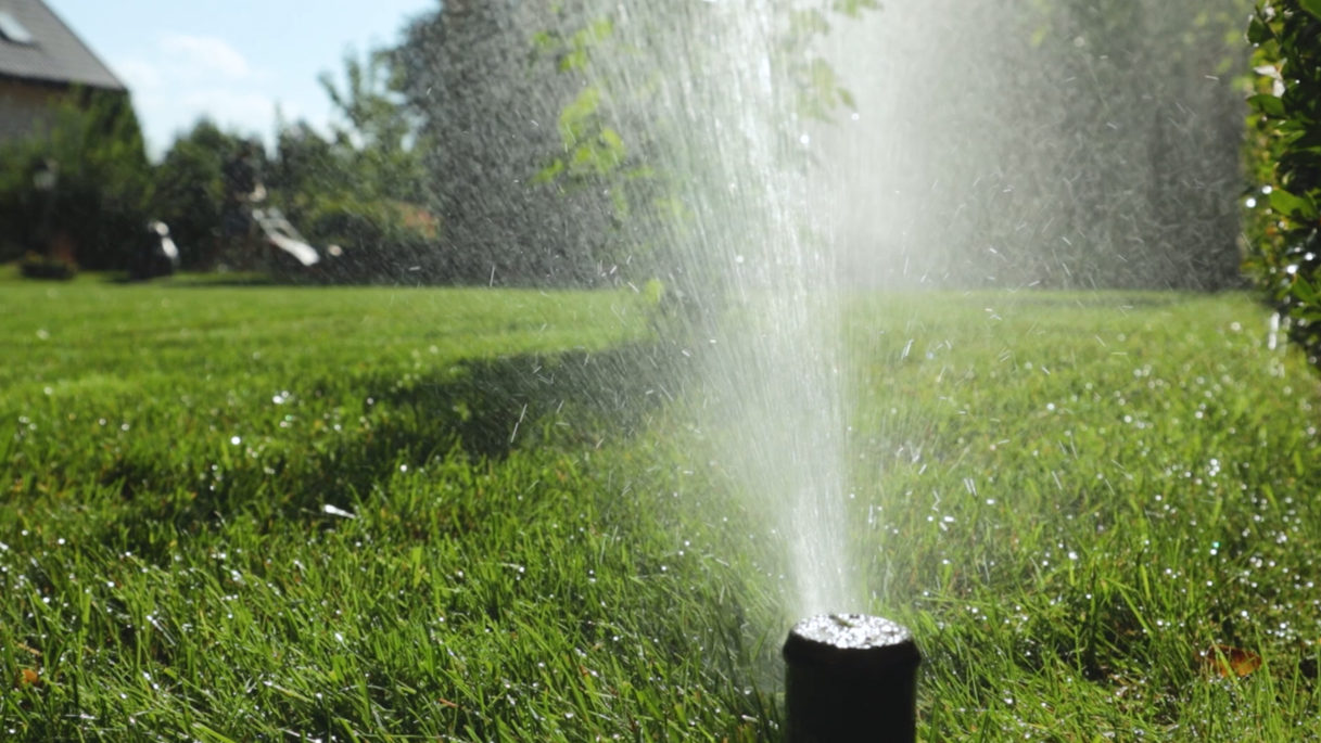 West Sydney Curbs Heat with Smart Irrigation