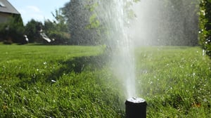 West Sydney Curbs Heat with Smart Irrigation