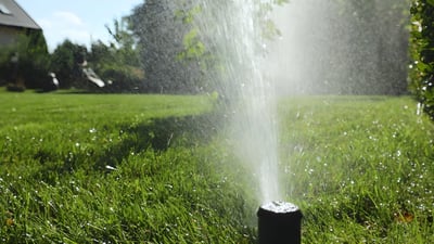 An automatic pop-up sprinkler head spraying water over a green lawn in a sunny suburban park.