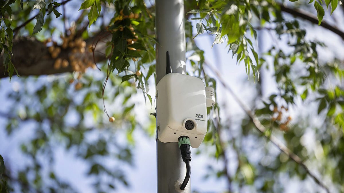 Dcityforest Bird and Bats Monitoring Device