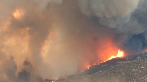 Wildfire in Hawaii