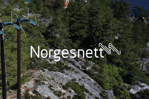 Norgesnett aprtner with Itron