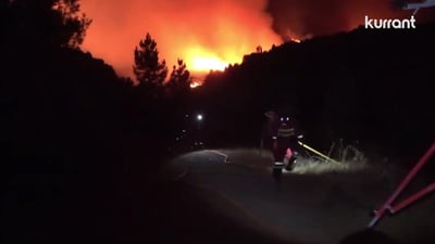 Preventing Wildfires, from Grazing to AI