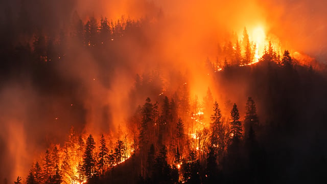 Vancouver’s SenseNet Acquires N5 Sensors’ Wildfire Detection Business