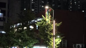 A smart pole street light with vertical LED light strips illuminates a tree-lined street in Seoul at night.