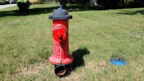 Red fire hydrant with a black cap and base standing in a grassy field.