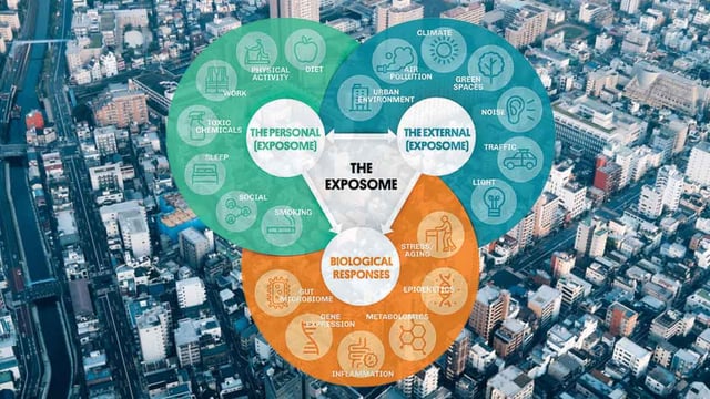 The exposomes