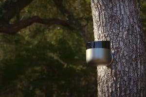 Torch Sensors detecting wildfires