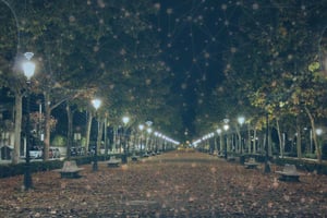 US Ignite Signify Pilot