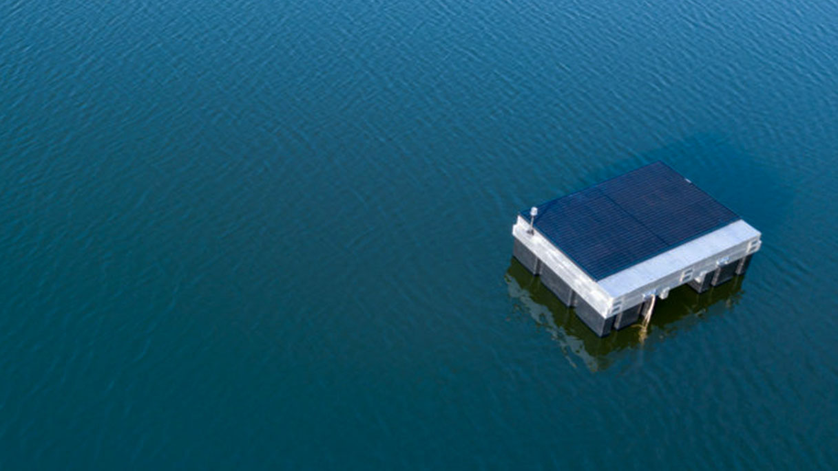 Fighting Toxic Algae with Ultrasonic, IoT, Computer Vision