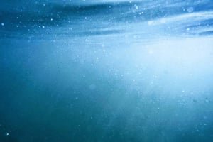 Underwater ecosystem AI