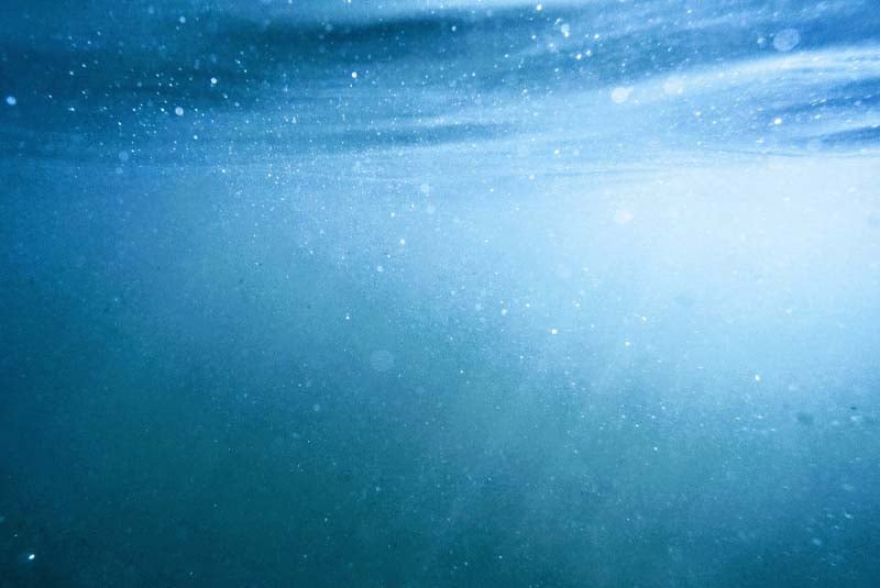 Underwater ecosystem AI