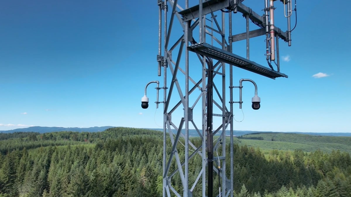 Two dome cameras mounted on a metal lattice tower overlooking a dense green forest under a clear blue sky.