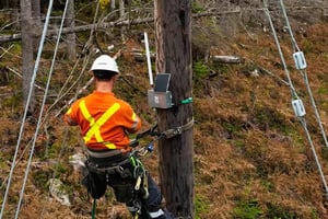 BluEarth Renewables Wildfire detection with sensenet