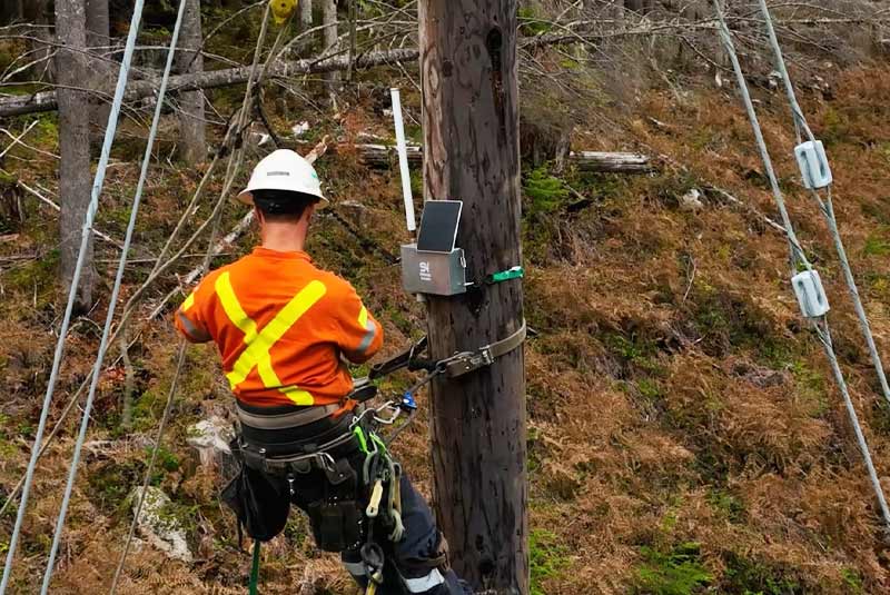 BluEarth Renewables Wildfire detection with sensenet