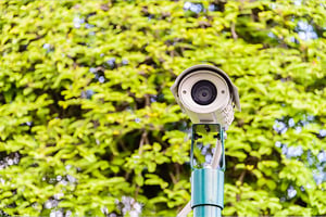 White bullet security camera mounted on a teal pole against a background of blurred green foliage.