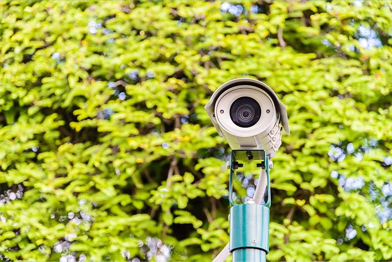 White bullet security camera mounted on a teal pole against a background of blurred green foliage.