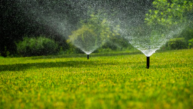 Valencia City Council Launches Smart Urban Irrigation Pilot Under Urban Sandbox