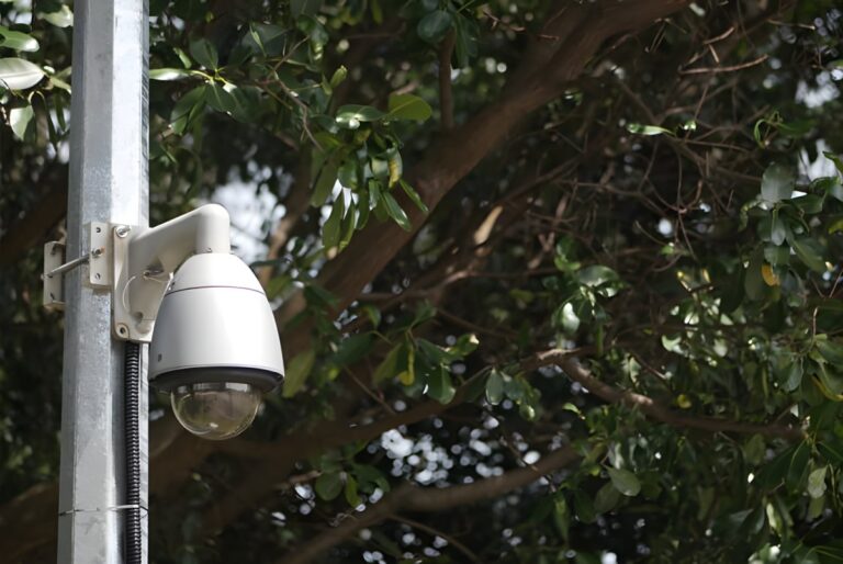 White dome security camera mounted on a metal pole in front of green leafy trees.