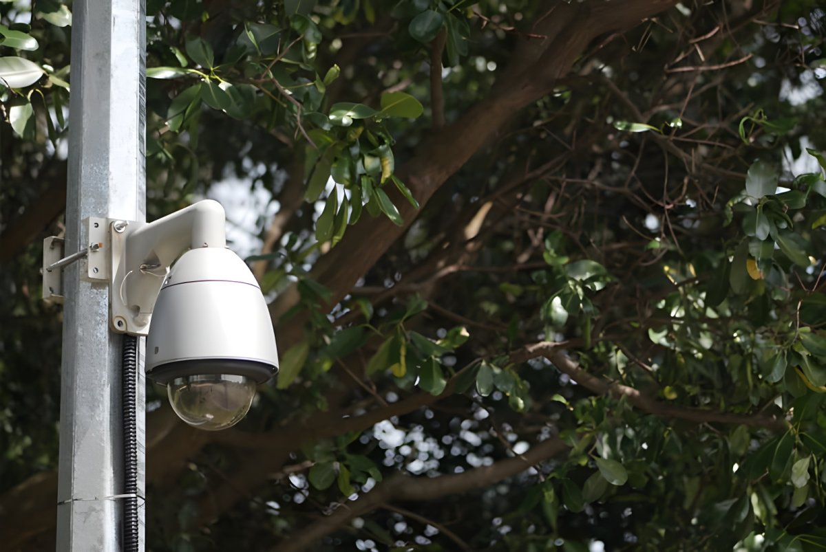 White dome security camera mounted on a metal pole in front of green leafy trees.
