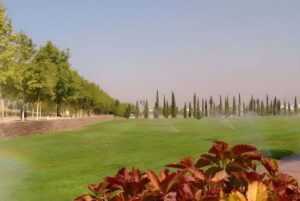 Active sprinklers watering a large green lawn in a public park in Alcorcón, Spain.