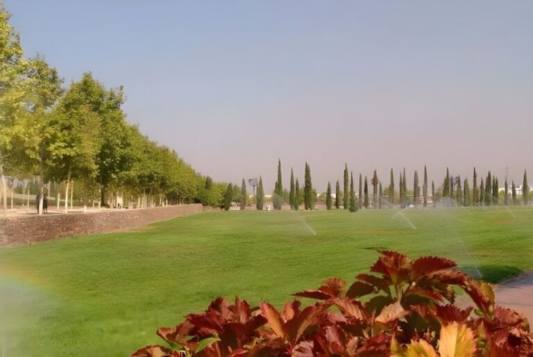 Active sprinklers watering a large green lawn in a public park in Alcorcón, Spain.