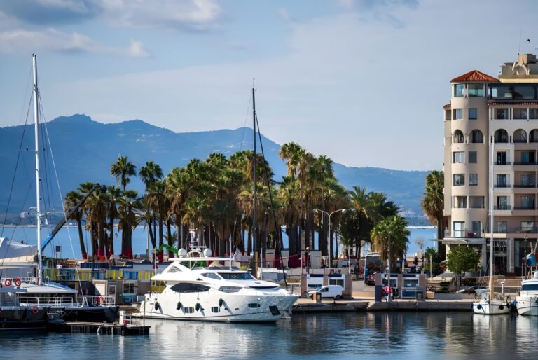 White yachts docked in a Cannes harbor lined with palm trees, coastal buildings, and distant mountains.