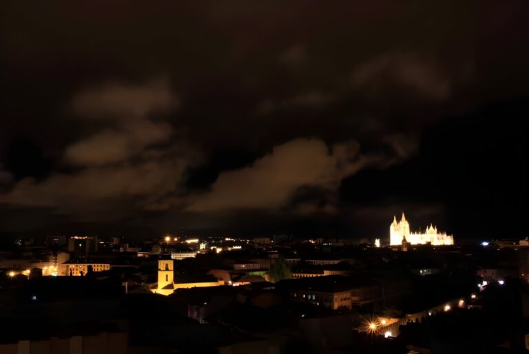 Nighttime aerial view of the León skyline featuring the illuminated cathedral and glowing street lights under a cloudy sky.