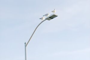 Three seagulls perched on a modern LED street light fixture against a clear sky.