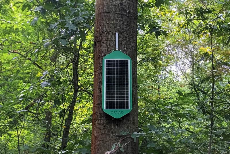 Dryad Wildfire detection sensor