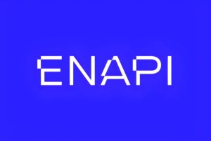White ENAPI logo in a stylized sans-serif font centered on a solid blue background.
