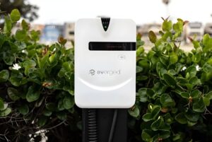 A white EVerged electric vehicle charging station mounted in front of green bushes.