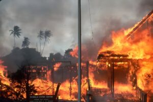Large wildfire engulfing buildings and palm trees near the Waiola Visitor Center sign in Hawaii.