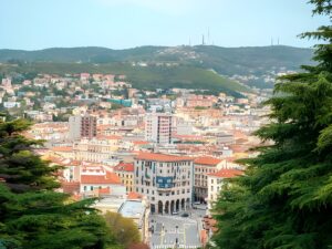 Elevated view of the Trieste cityscape featuring red-roofed buildings and forested hills under a clear sky.