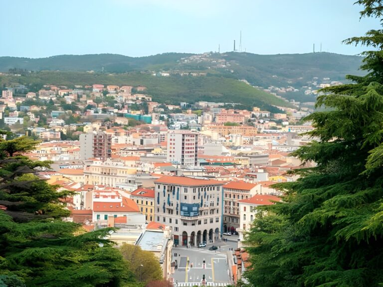 Elevated view of the Trieste cityscape featuring red-roofed buildings and forested hills under a clear sky.