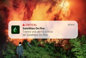 A Satellites On Fire critical mobile alert notification overlaid on a person watching a forest fire at night.