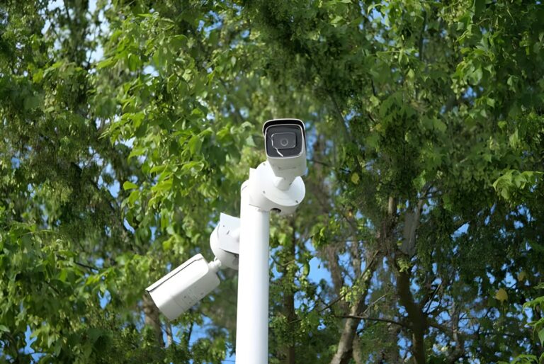 Two white security cameras mounted on a pole against a backdrop of green deciduous trees.