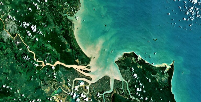 Satellite view of sediment plumes flowing from a river estuary into coastal ocean waters.