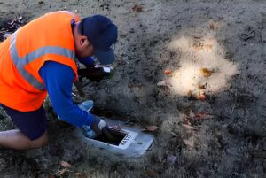 Utility worker in a high-visibility vest kneeling on grass to inspect an underground water meter box.
