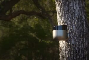 A Torch Sensors solar-powered fire detection device mounted to a tree trunk in a forest.
