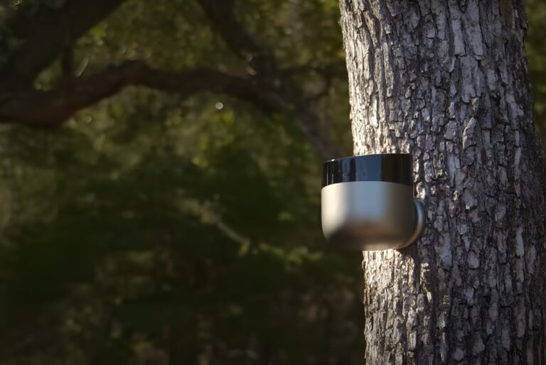 A Torch Sensors solar-powered fire detection device mounted to a tree trunk in a forest.