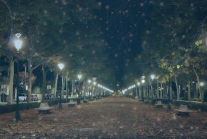 A tree-lined pedestrian walkway at night with illuminated streetlights and a digital network overlay.